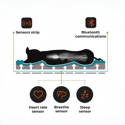 スマート爬虫類ペットベッド 健康モニター 心拍数 呼吸速さ 睡眠パッド WiFi コントロール 屋外・車用ペットマット