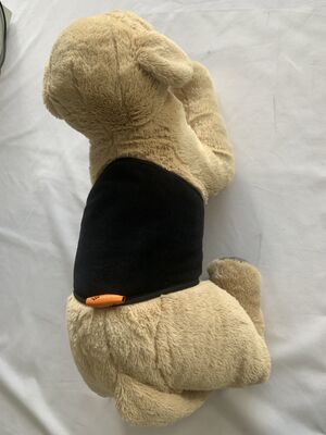 暖かい宮殿 ベルト ペットの腰帯暖かいベルト 柔軟な布とUSB充電でペットの腰帯のサポートと暖かいために設計されています