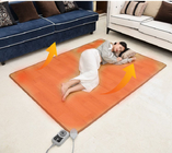 居間の電気床暖房のマットは/Grapheneシステム24vにカーペットを敷く