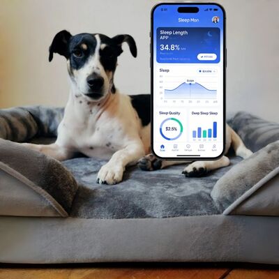 スマート爬虫類ペットベッド 健康モニター 心拍数 呼吸速さ 睡眠パッド WiFi コントロール 屋外・車用ペットマット